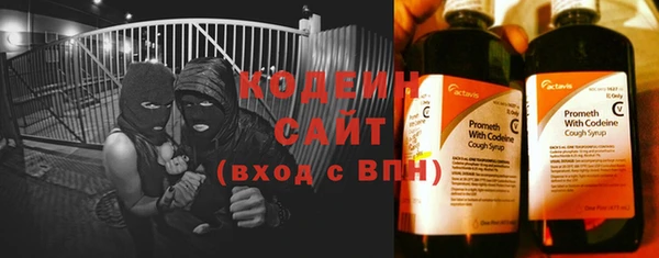 стаф Гусь-Хрустальный