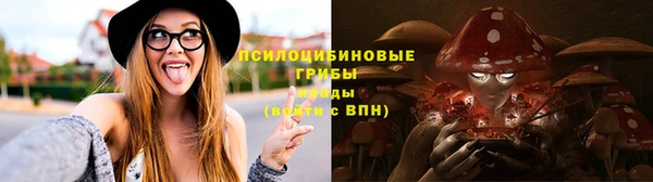 МДПВ Елабуга
