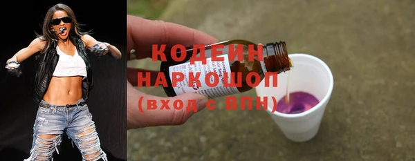 сатива Заводоуковск