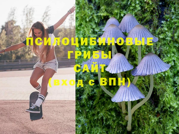 МДПВ Елабуга