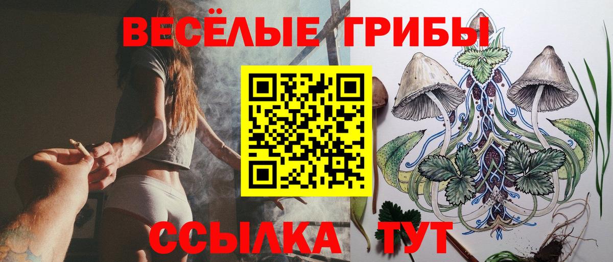 Галлюциногенные грибы Psilocybine cubensis  Псилоцибиновые грибы прущие грибы  Карпинск  купить  сайты  Вход с VPN 