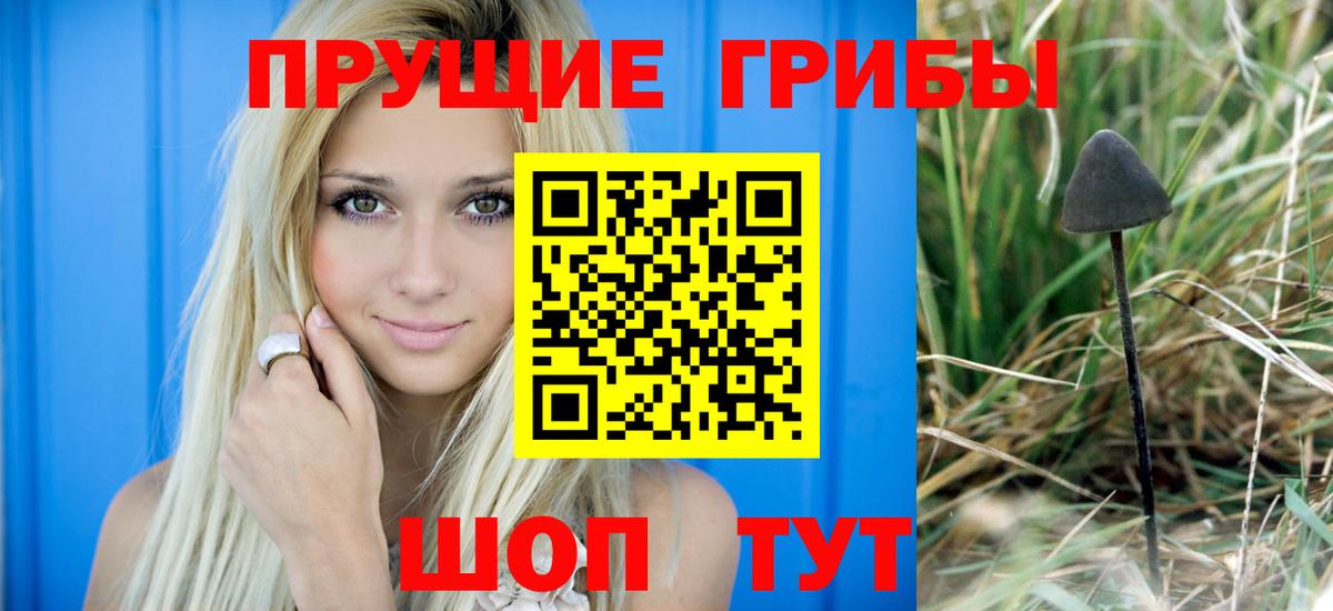 Галлюциногенные грибы ЛСД Карпинск